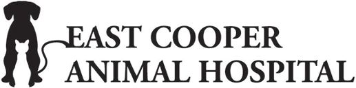 East Cooper Animal Hospital